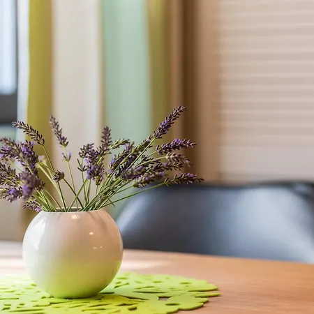 Apartmán Ostsee Elmenhorst Sehr Hochwertige Dreizimmer Mit Gartenterrasse